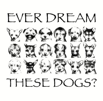 «Nintendogs dreams»